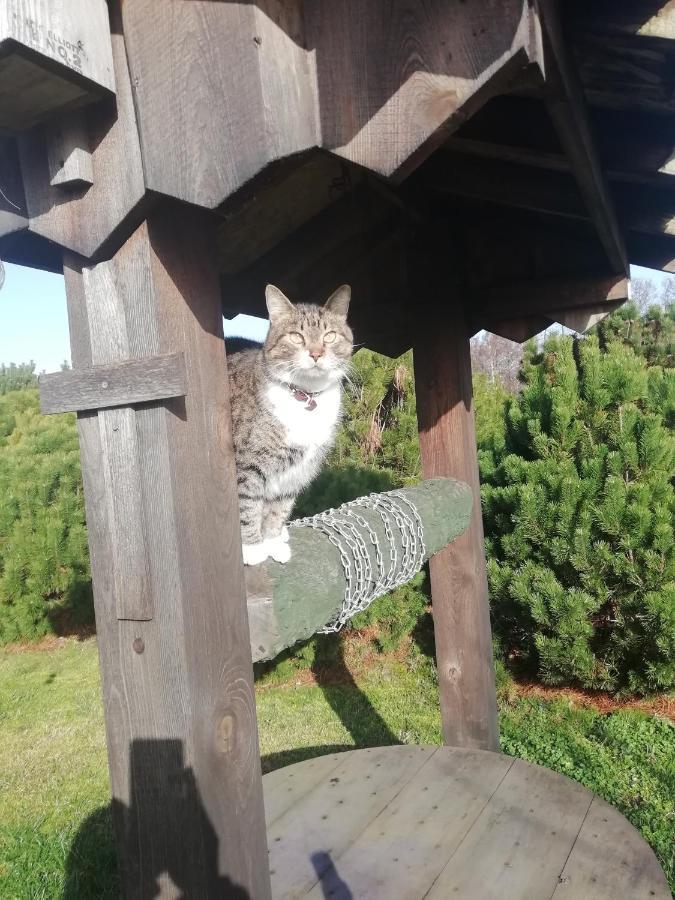 Vila Eko Oaze Pērkone Exteriér fotografie