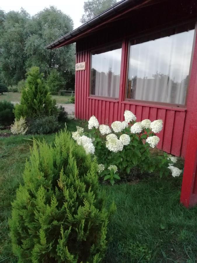 Vila Eko Oaze Pērkone Exteriér fotografie