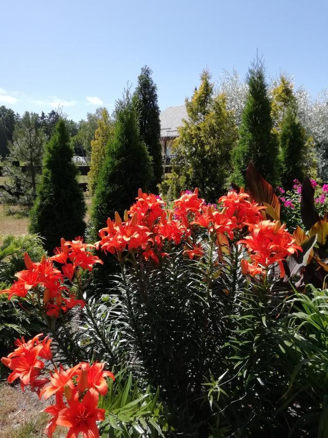 Vila Eko Oaze Pērkone Exteriér fotografie