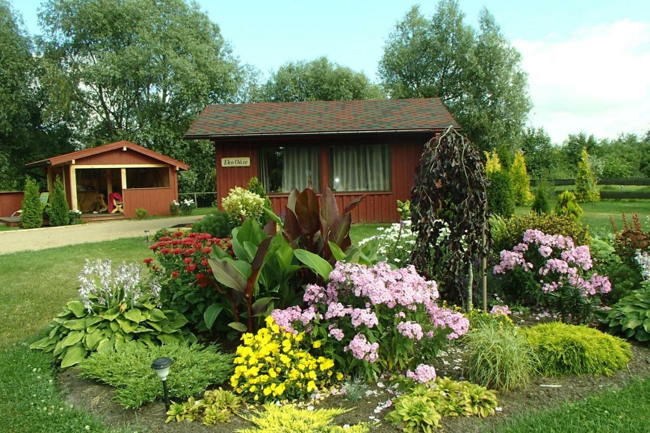 Vila Eko Oaze Pērkone Exteriér fotografie