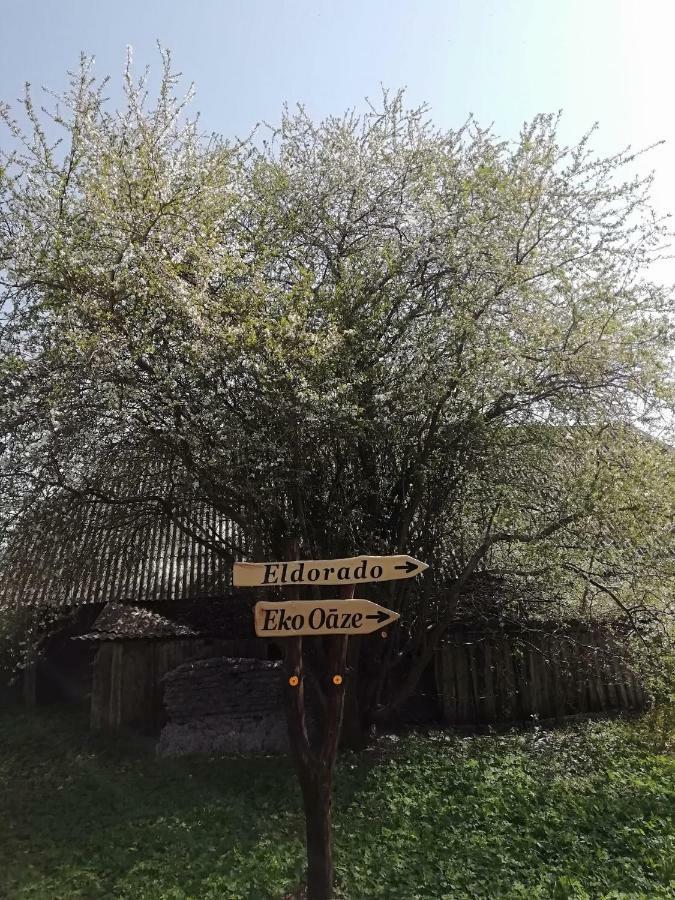 Vila Eko Oaze Pērkone Exteriér fotografie